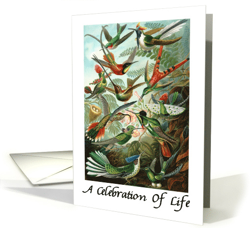 A Celebration Of Life Hummingbirds Funeral Service card (1050835)
