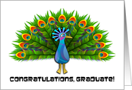 Congraulations, Graduate! Colorful Peacock card