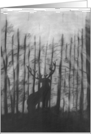Deer in Wooded Moonlight, black & white, blank note cards