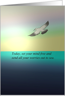 FREE YOUR MIND INSPIRATIONAL SEAGULL card