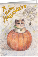 A Happy Hallowe’en, Kitten in Pumpkin card