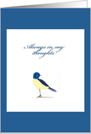 always in my thoughts, blue bird card