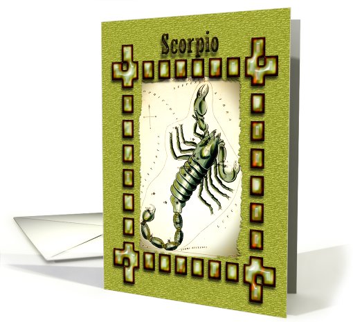 Scorpio, Scorpion blank note card (642073)