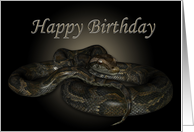 Happy Birthday for the Snake lover ~ python card