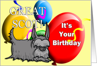 Great Scot! Birthday Card with Scottish Terrier card
