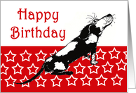 Happy Birthday,sad black and white hound on red and white stars card