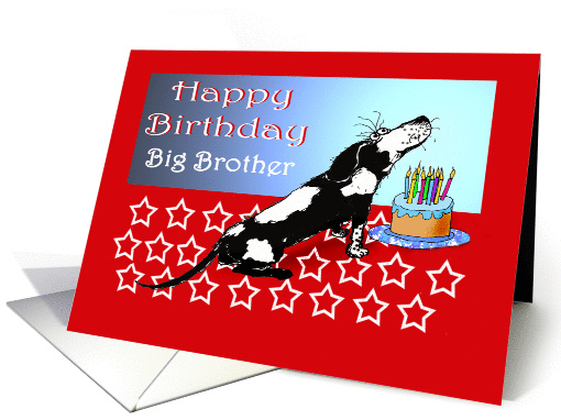 Happy birthday, black and white dog, cake,candles.for big brother card