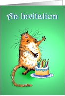 An Invitation to Surprise Birthday Party, crazy cat and cake card