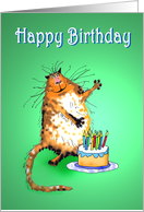 Happy Birthday from fur-baby, crazy cat and cake and candles card