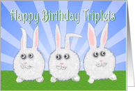 Happy Birthday Triplets, three white bunny rabbits. card