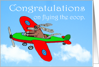 Congratulations,Break up, on flying the coop,Dog in plane card