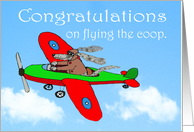 Congratulations, on flying the coop,leaving home,Dog in plane card