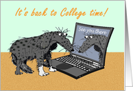 It’s back to College time,sad dog and laptop.humor. card