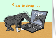 I am so sorry,kiss and make up,no new messages.dog and laptop.humor. card