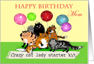 Happy Birthday Mom, from daughter,Crazy cat lady, humor. card
