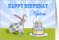 Happy Birthday ,For Nephew, rabbit and cake. For son. card