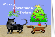 Merry Christmas ,Brother, dogs sniffing bottoms, risque.adult humor. card
