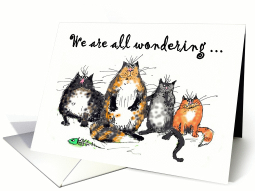 We are all wondering how you are, four crazy cats.humor, funny. card