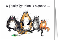 A family reunion is planned, four crazy cats.humor,. card