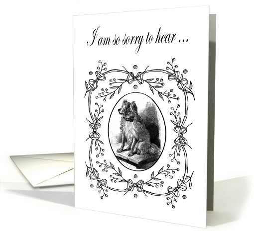 Loss of dog. black and white vintage. card (1345498)