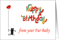 Happy birthday, crazy cat and love-heart.from fur baby,blank card