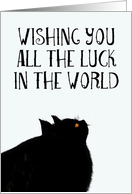 Wishing you luck, lucky black cat card