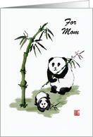 Panda bear with baby and bamboo.Custom card