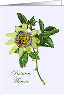 Passion flower, with green leaves. card