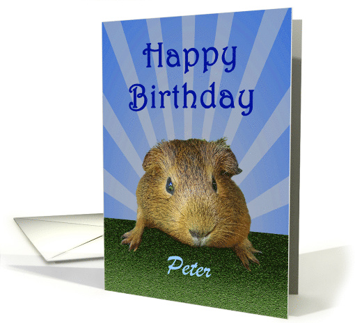 Happy Birthday, guinea pig, custom card (1417066)