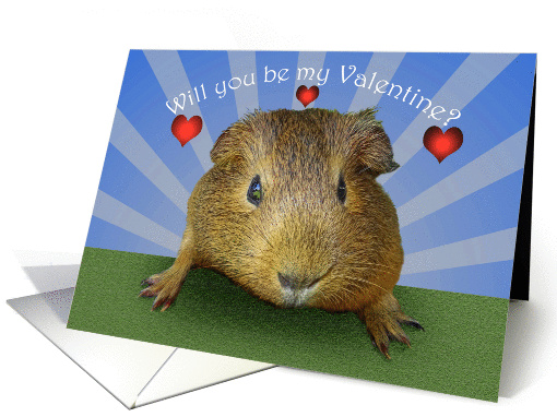 Guinea pig, Will you be my Valentine? card (1417080)