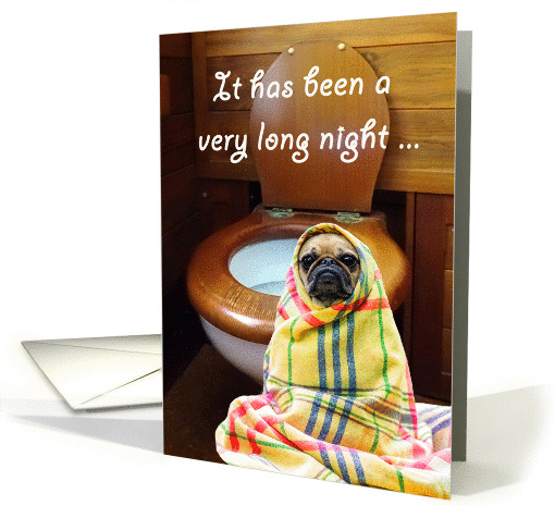 pug by toilet.thanks for the party, humor.thanks for... (1419558)