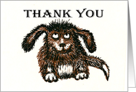 Thank You for listening, brown shaggy dog. card