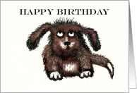 Happy Birthday , brown shaggy dog.humor card