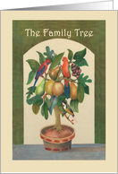 The family tree, parrots, fruit, honeyeater. card