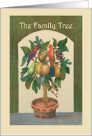 The family tree,welcome to the family, parrots, fruit, honeyeater. card