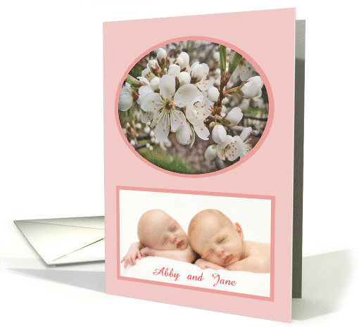 Plum blossom,new baby twins ,pink, photo card. card (856396)