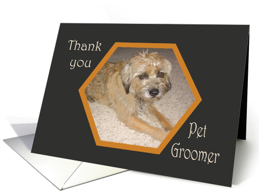 Thank you pet groomer, Border terrier. card (859263)