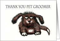 Thank you pet groomer, Shaggy Dog card