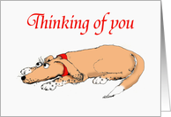 Thinking of you,Will you be home soon?, brown hound dog. card