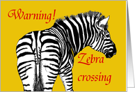 For ex boyfriend, Happy Birthday Warning Zebra crossing. card