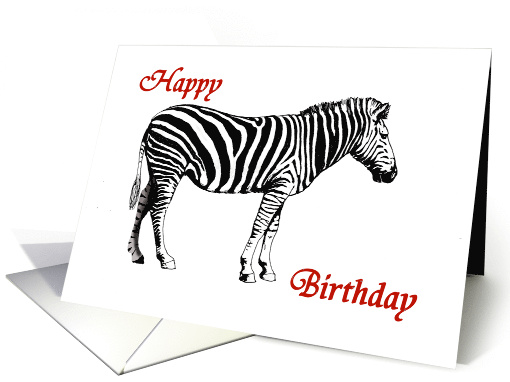 Happy Birthday Ex Boyfriend, Zebra, black and white drawing card