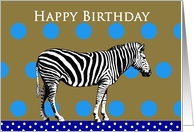 Happy birthday to son, zebra and spots card