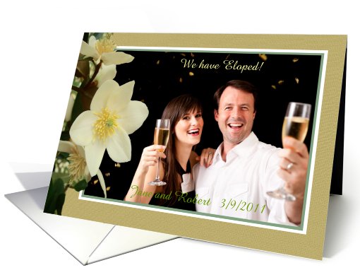 We have eloped, Magnolia Carpenteria, flower,photo frame card (875547)