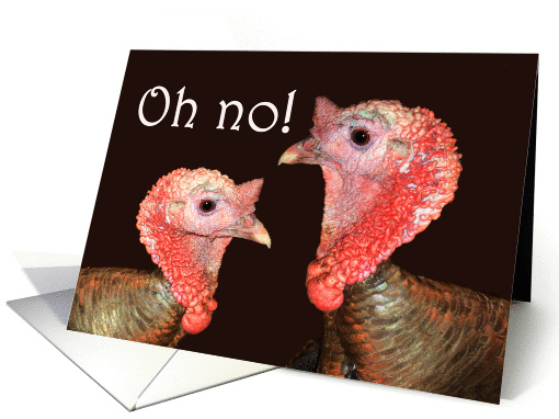 Happy Thanksgiving, two turkey gobblers.humor card (877400)