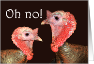 Happy Thanksgiving, two turkey gobblers.humor card