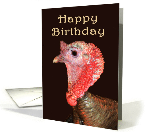 Happy Birthday,for ex-boyfriend, turkey gobbler. humor card (877607)