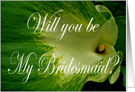 Will you be my Bridesmaid?for sister, Green Goddess Lily. card