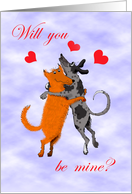 Valentine day for boyfriend, two dogs, humor card