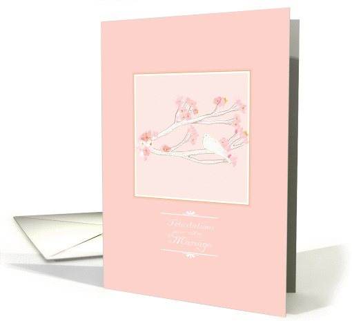 Flicitations pour votre mariage, white dove on cherry... (907030)