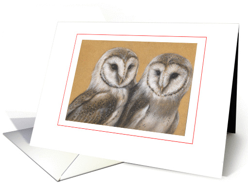 Barn Owls - blank card (1431256)